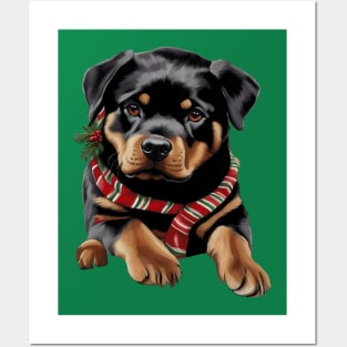 Xmas Rottweiler Dog Christmas Wearing A Scarf Posters and Art